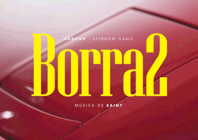 Borra2