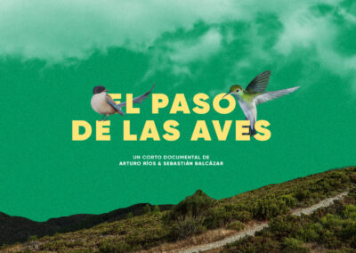 El Paso De Las Aves